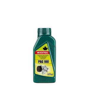PAG 100